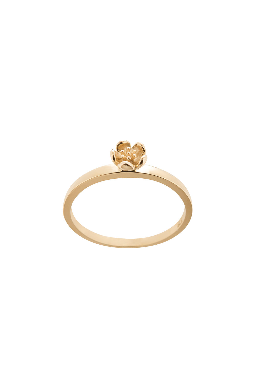 Botanical Plain Ring Gold