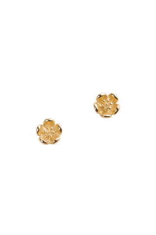 Botanical Plain Studs Gold