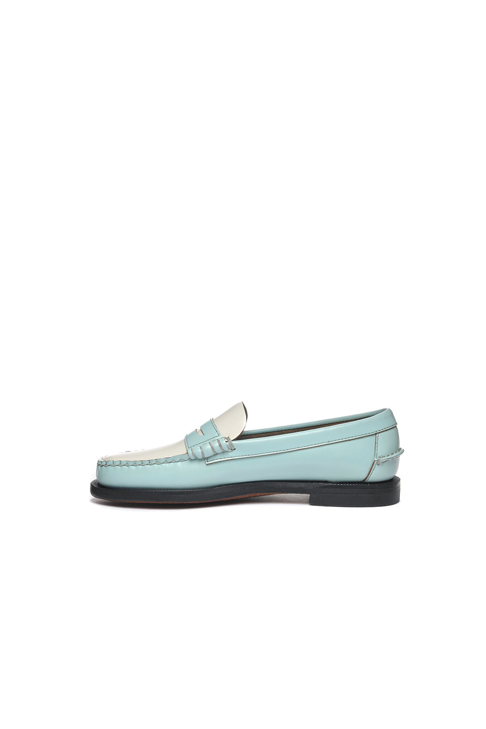 Classic Dan Pigment Loafers