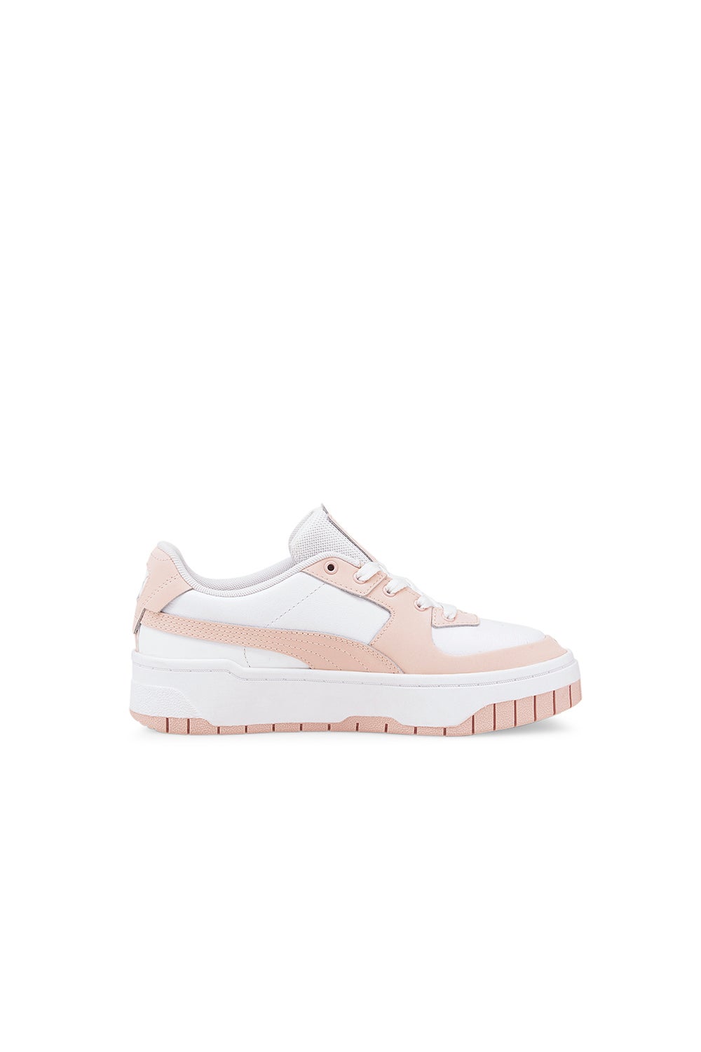 pastel puma cali